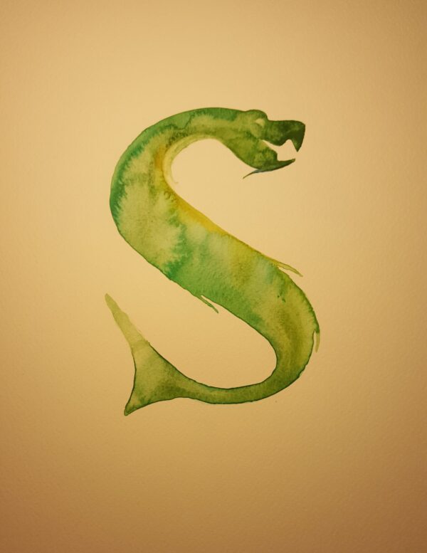 S