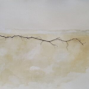 Sarmiento (Adjudicado)