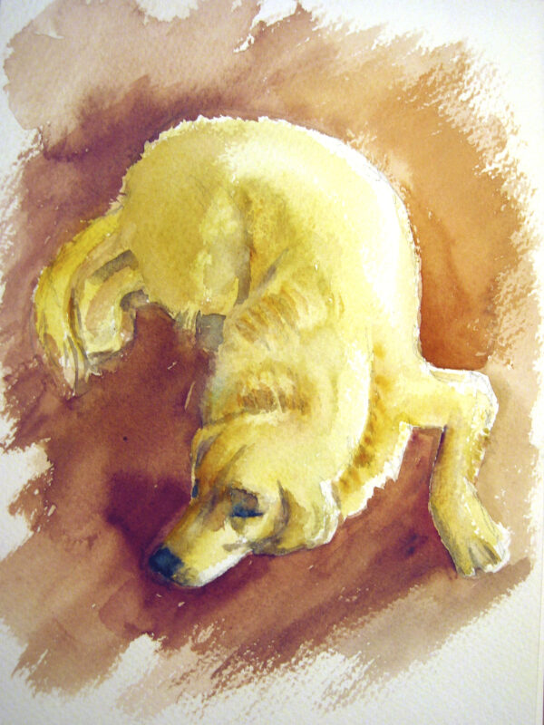 GALON (1)