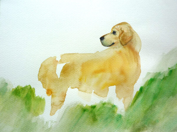 GALON (2)