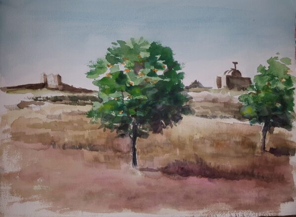 HUERTO MERCE6ANDREU
