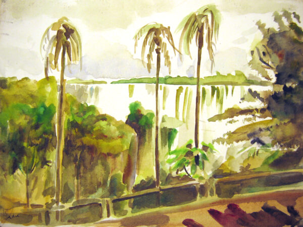 IGUAZÜ (3)