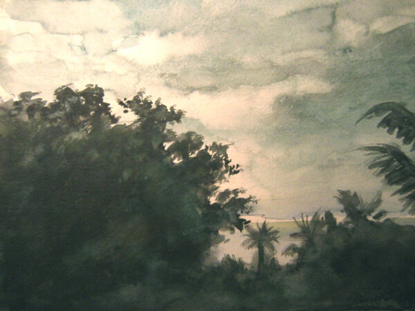 INDIA (5)