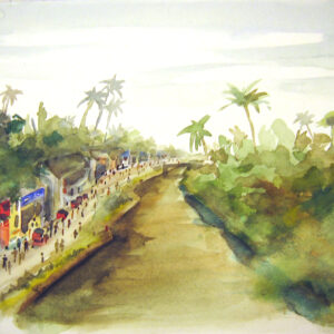 Manglares Indios (1)