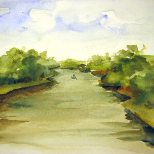 Manglares Indios (2)