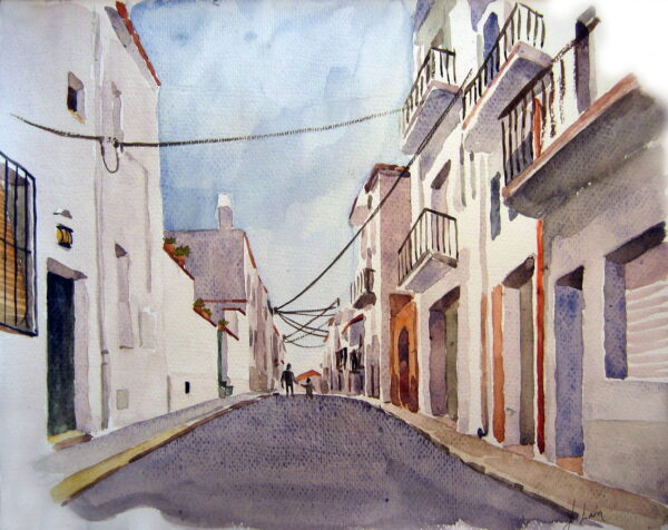 carrer Port_1