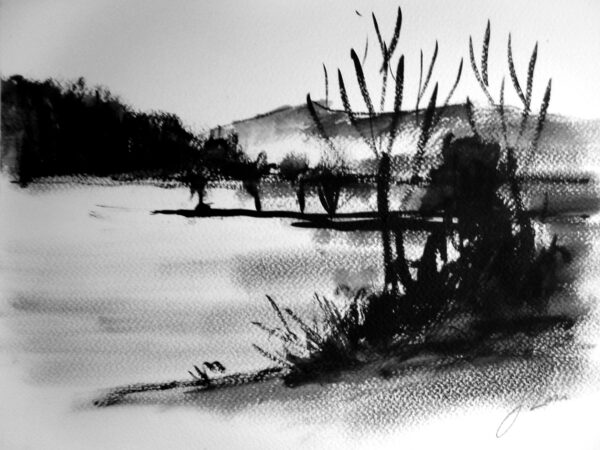 LAGUNAS DE RUIDERA 1