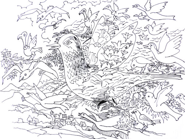 PAJAROS