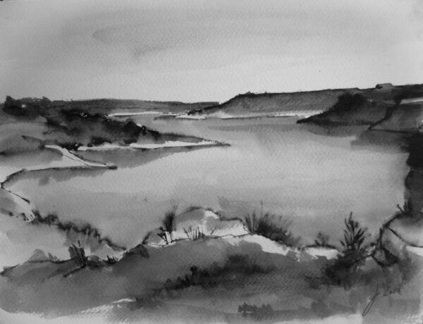 PANTANO DE LA SERENA 1