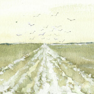 Siguiendo la estela en Senegal Colección viaje)