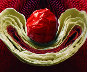 Calendario Raima circo (proyecto) 1