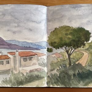 Pi i cami de Port de la Selva