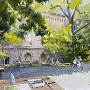 Jardins de la Universitat